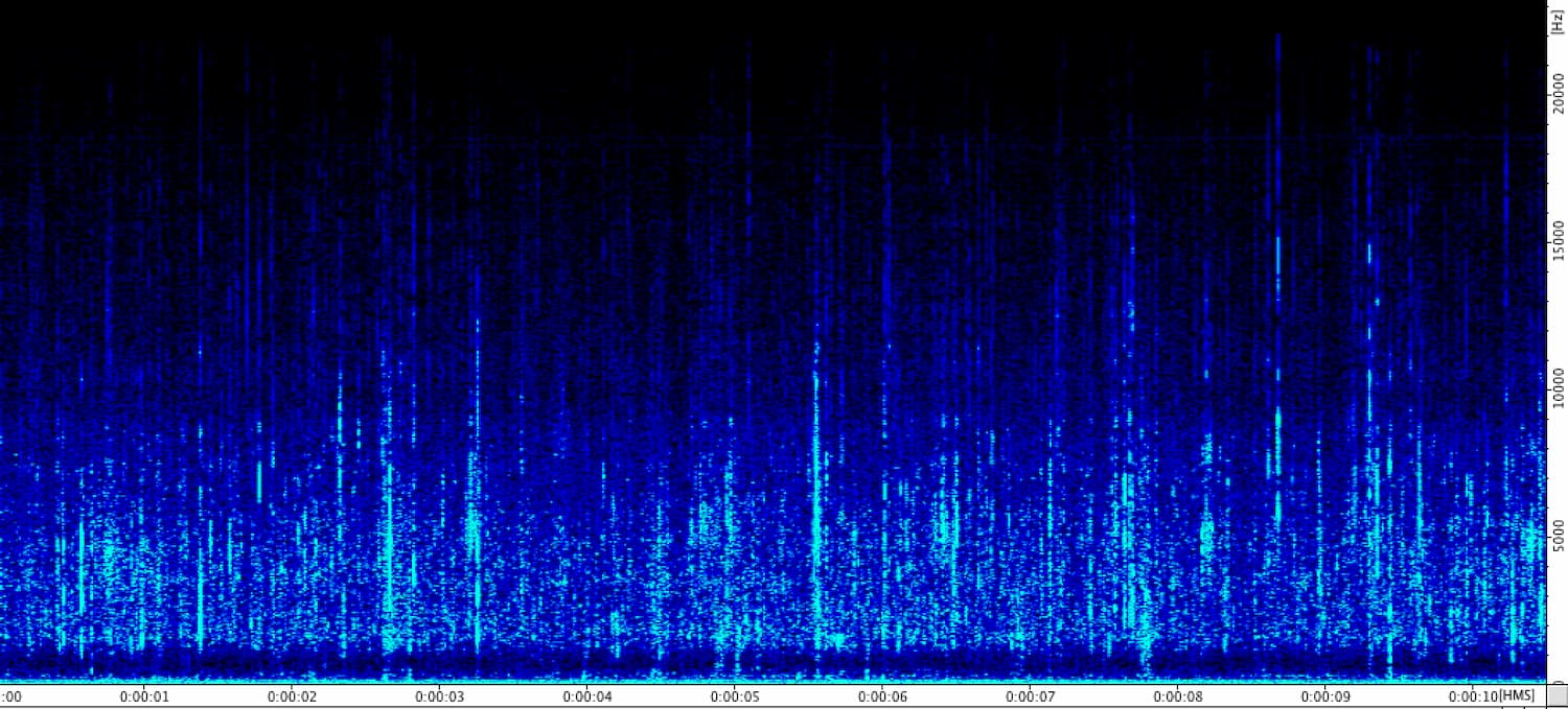 10 SEC EN PHASE léger